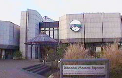 aquazoo