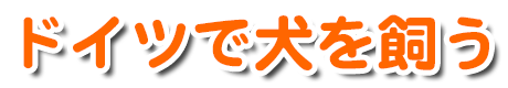 タイトル